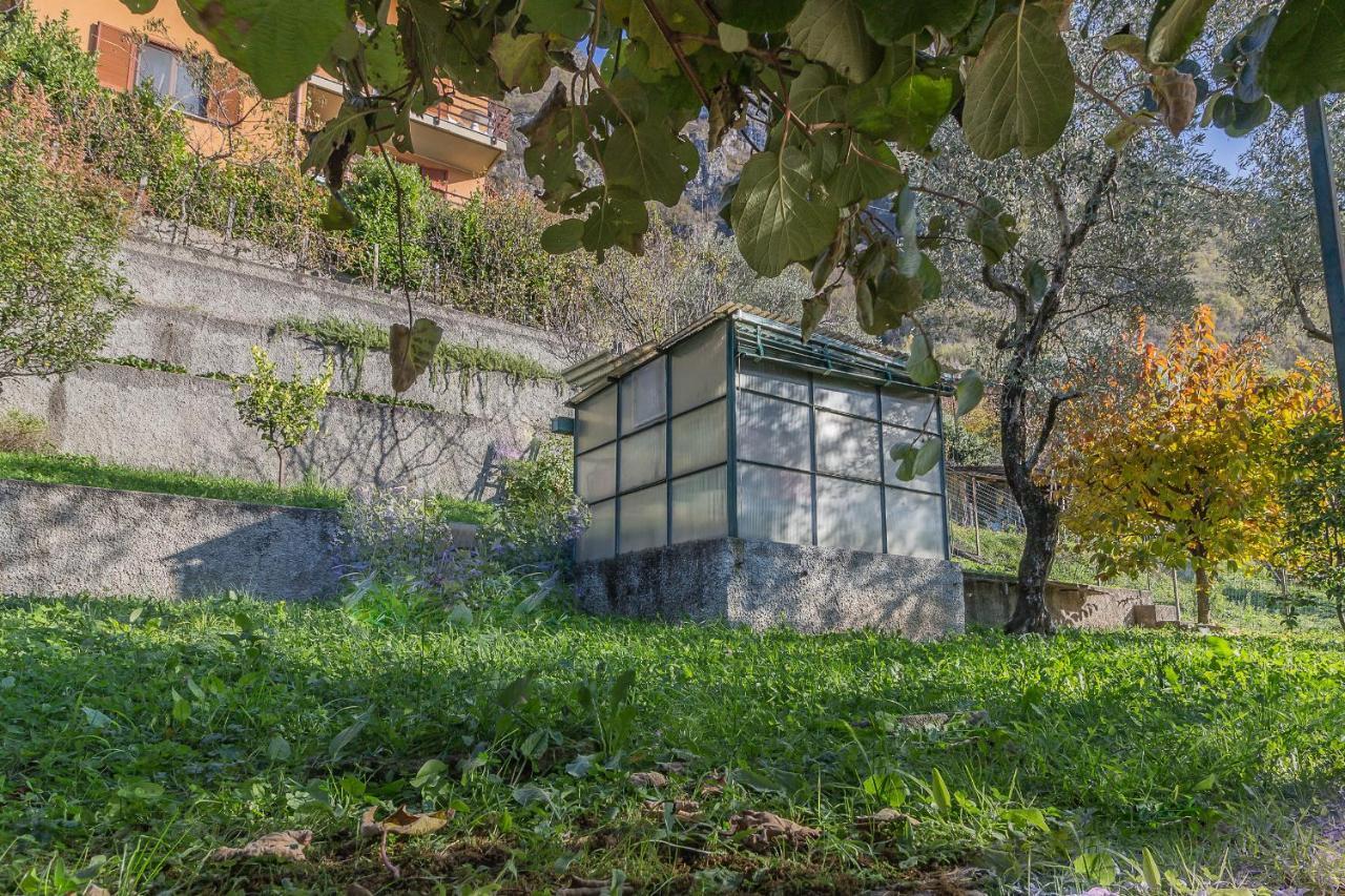 La Maison Du Lac Варенна Экстерьер фото